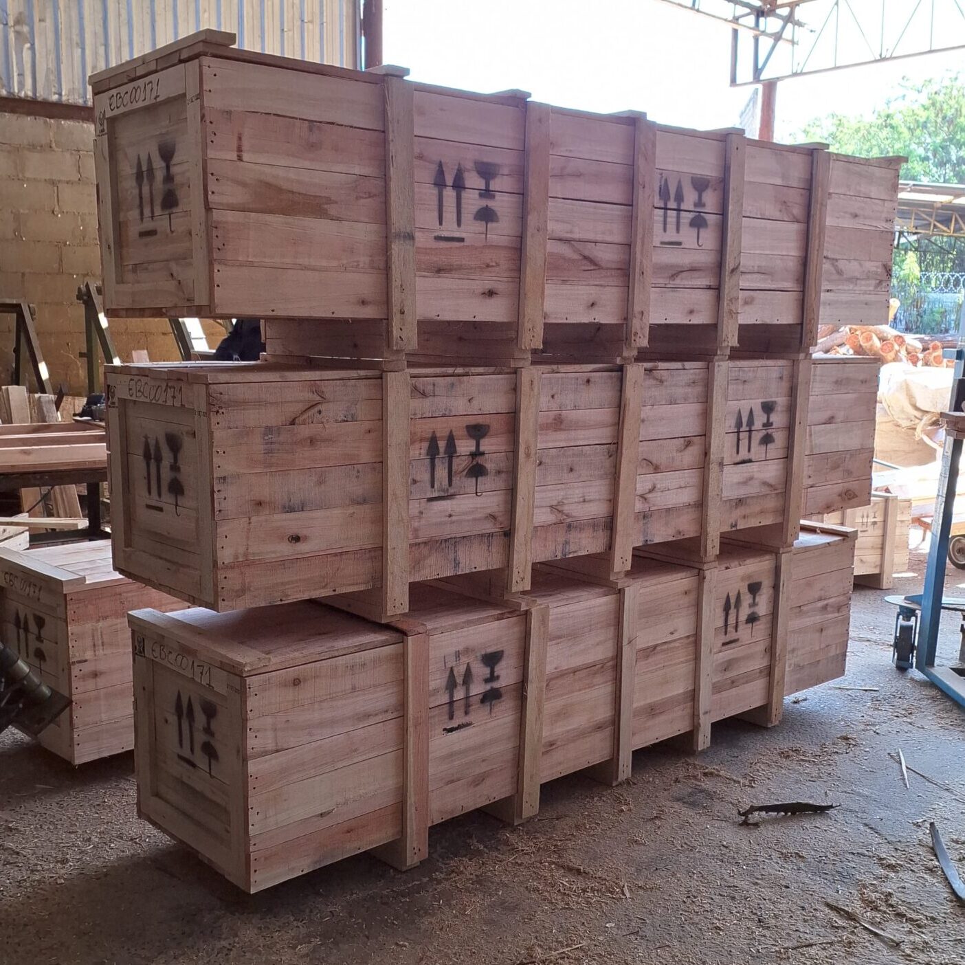 WhatsApp Image 2025-05-08 at 16.50.41