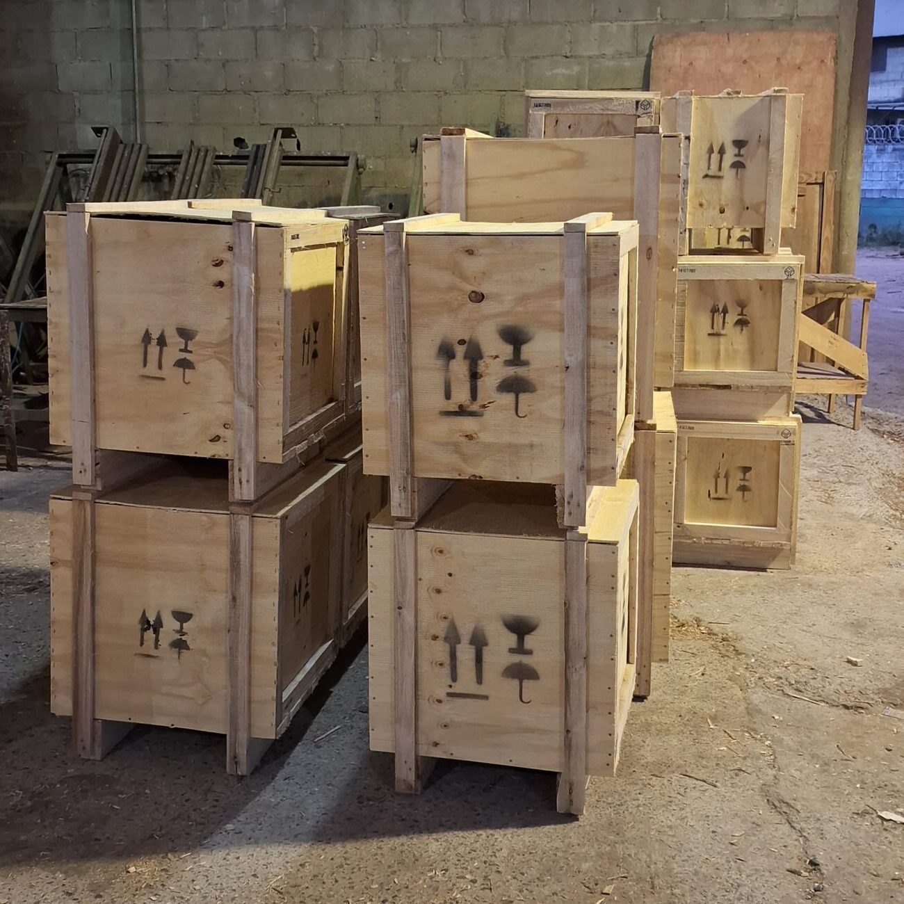 WhatsApp Image 2025-05-08 at 16.50.42