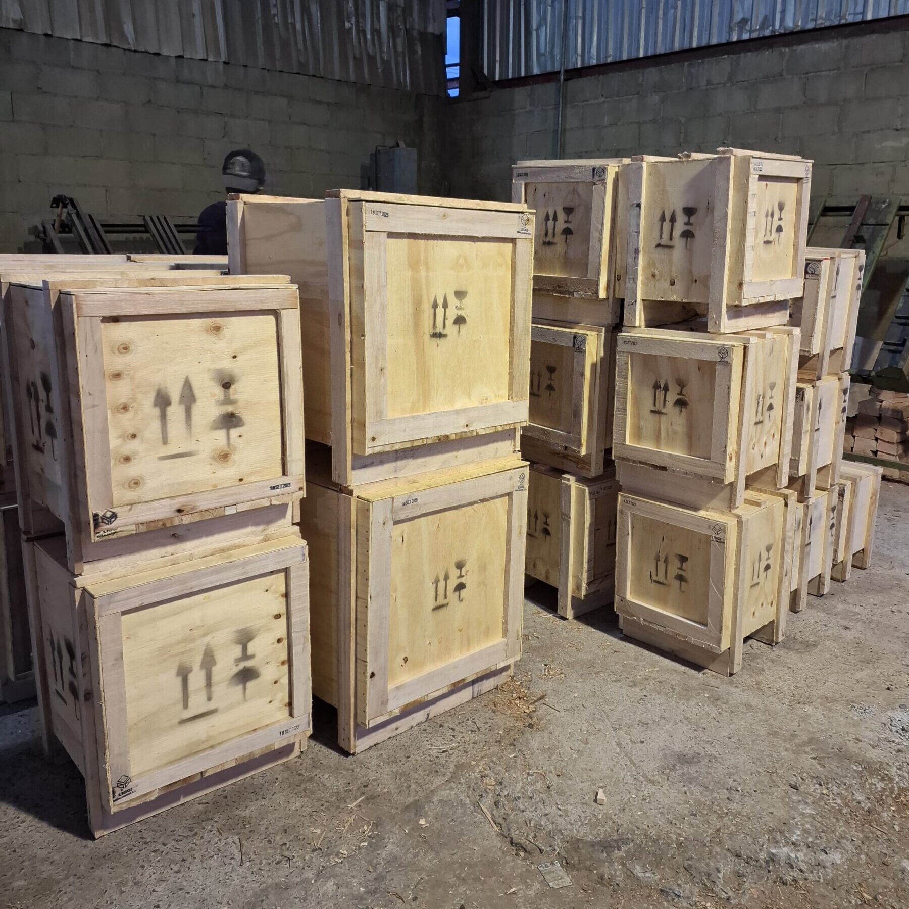 WhatsApp Image 2025-05-08 at 16.50.43 (1)