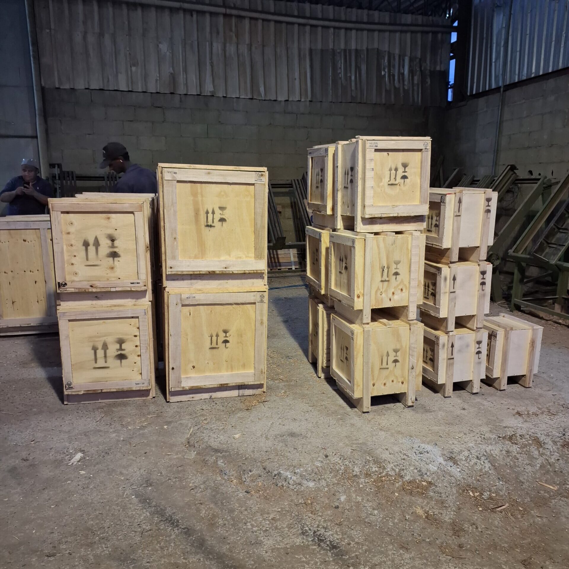 WhatsApp Image 2025-05-08 at 16.50.43