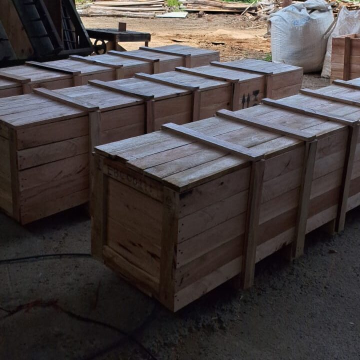 WhatsApp Image 2025-05-08 at 17.26.30 (3)