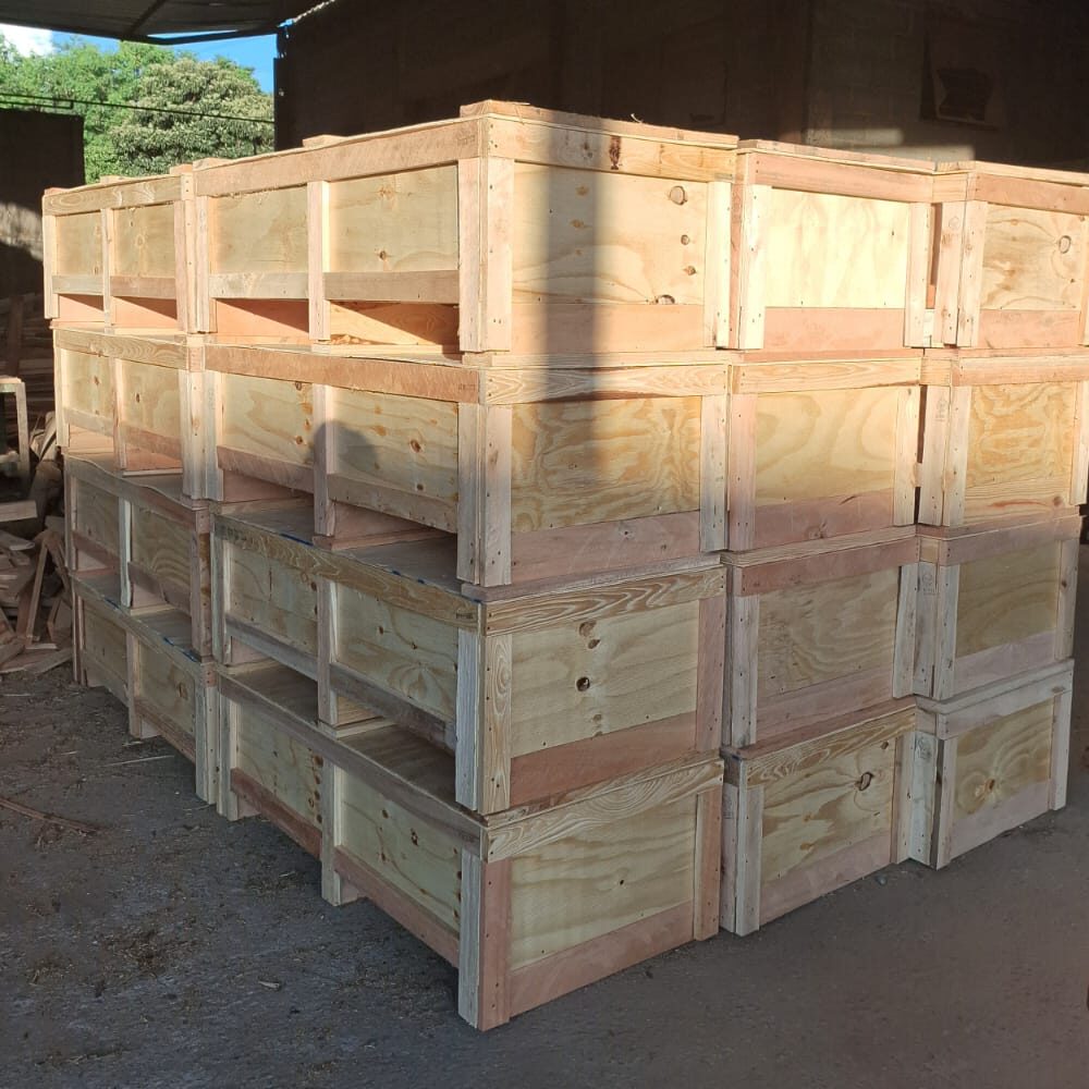 WhatsApp Image 2025-05-08 at 17.26.30 (4)