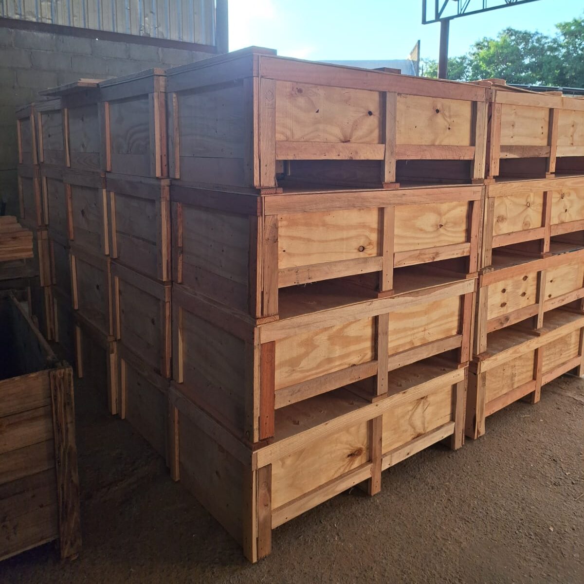 WhatsApp Image 2025-05-08 at 17.26.31