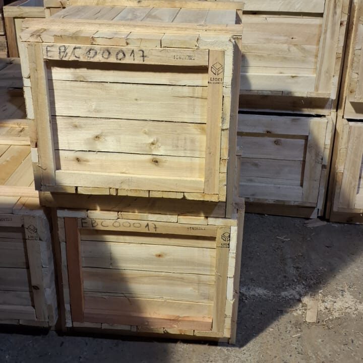 WhatsApp Image 2025-05-08 at 17.26.33 (3)