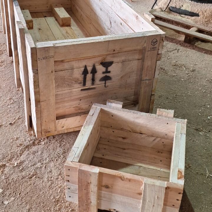 WhatsApp Image 2025-05-08 at 17.26.33 (4)