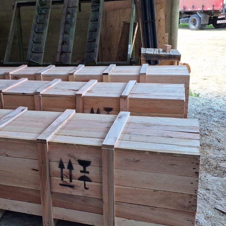 WhatsApp Image 2025-05-08 at 17.26.33